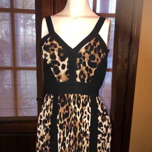 Leopard Print High/Low Dress - Picture 2 of 2